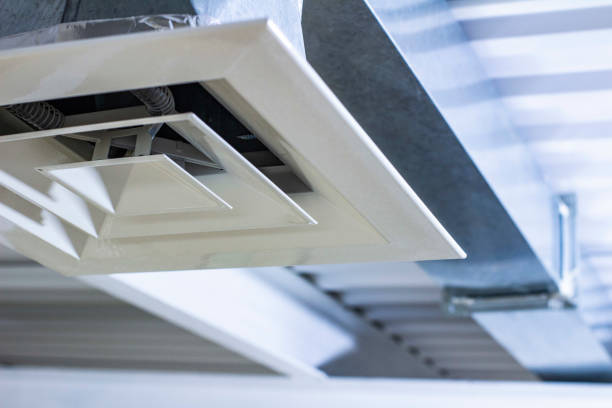 Best Local Air Duct Cleaning Services  in Beecher, MI