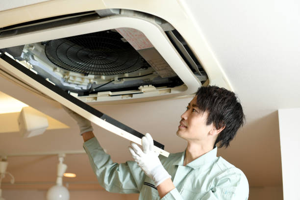 Best HVAC Duct Inspection Services  in Beecher, MI