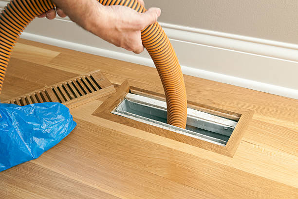 Best Affordable Air Duct Cleaning  in Beecher, MI