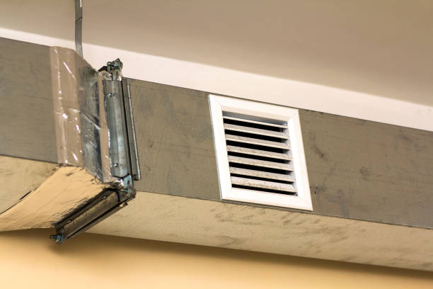 Best Affordable HVAC Duct Cleaning  in Beecher, MI